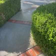 Professional-Surface-Cleaning-of-Backyard-Driveway-Garage-and-Patio-in-San-Jose-CA-West-Valley-Area 9